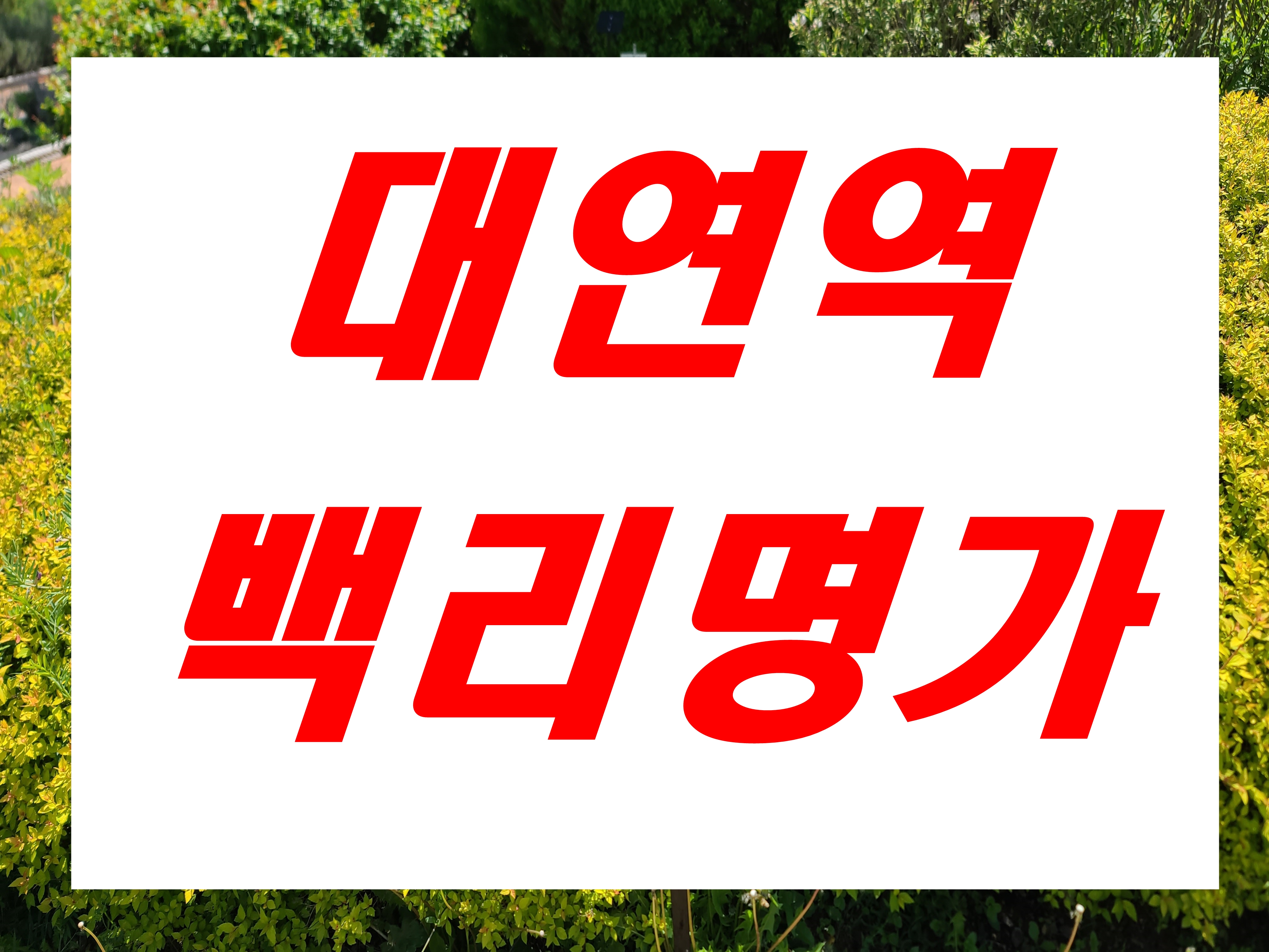 대연동 아파트 분양 백리명가에덴 원룸 투루 쓰리룸 분양가