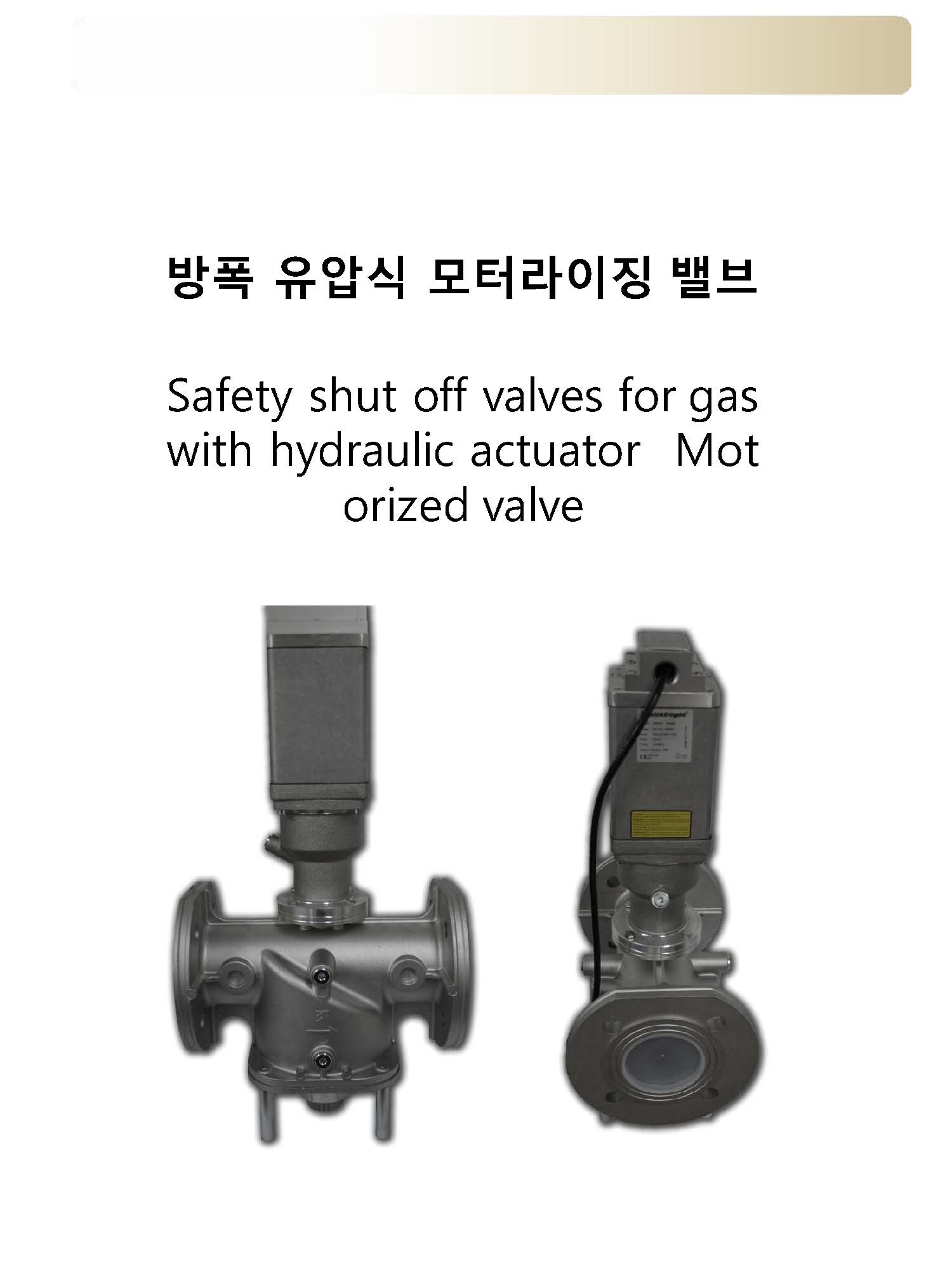  Elektro Gas 방폭 유압식 모터라이징 밸브 HS-VMH..EX