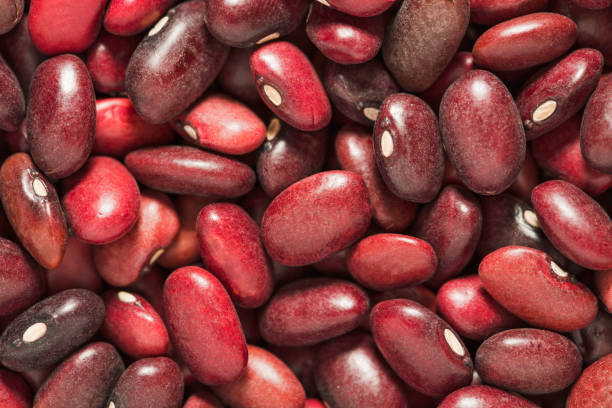 팥 효능 10가지 부작용 보관법 37