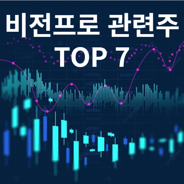 비전프로 관련주 TOP 7