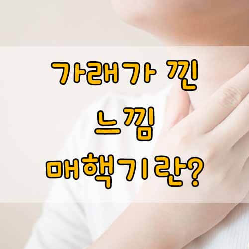 매핵기&#44; 삼켜지지도 않고 뱉어지지도 않는 목의 이물감&#44; 매핵기 원인과 해결방법