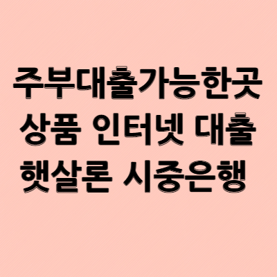  주부대출가능한곳 인터넷 대출 햇살론 시중은행
