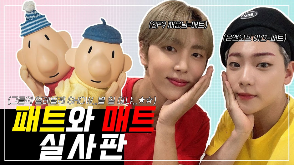 요즘 강아지 산책 한번 시켜주고 받는 비용...jpg | 인스티즈
