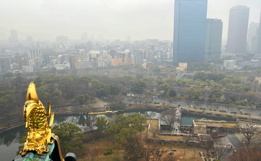 전망1