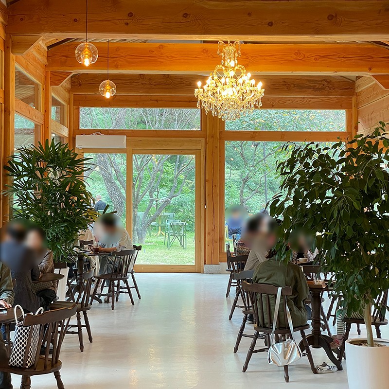 아떼에르 인 예다숲 이미지