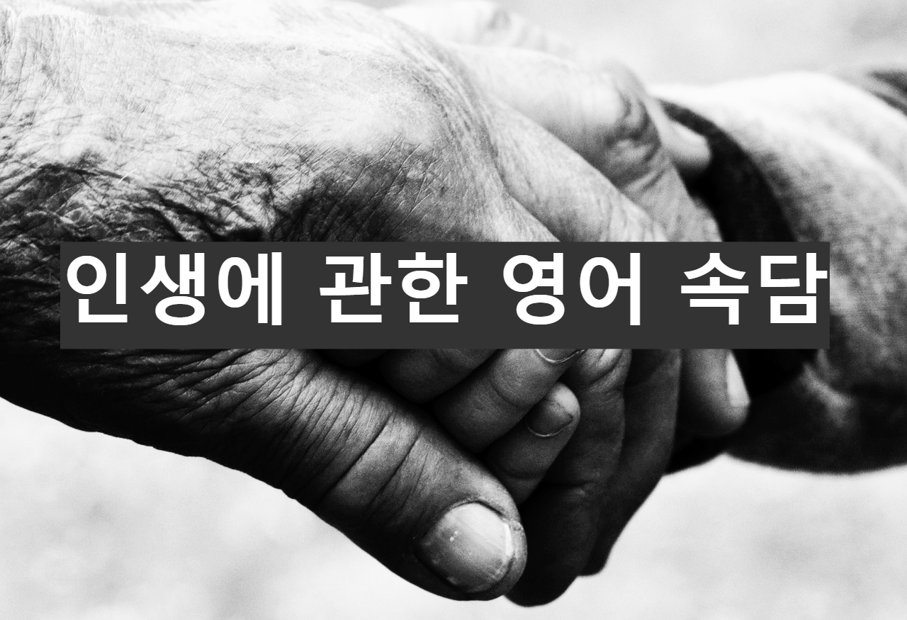  인생에 관한 영어 속담