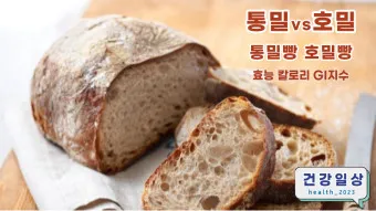건강한 통밀 빵 고르는법 요리법_21