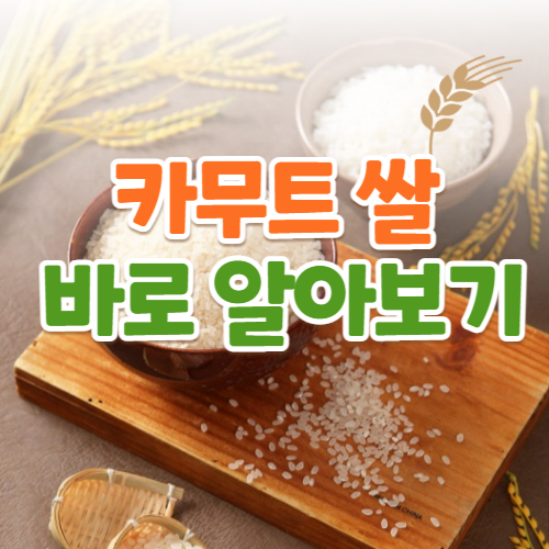  카무트 쌀 효능 판매하는 곳