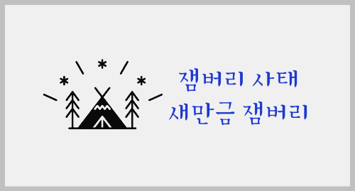잼버리 사태-새만금 잼버리