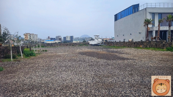 수애기