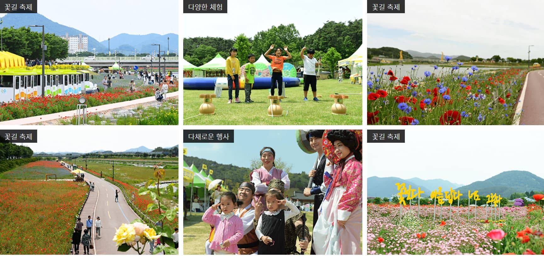 장성 황룡강 홍길동무 꽃길 축제, 장성가볼만한곳, 5월가볼만한곳, 5월주말가볼만한곳, 5월여행코스, 주말데이트코스, 주말가족여행, 주말여행, 국내여행, 5월축제, 전라남도5월축제, 장성관광