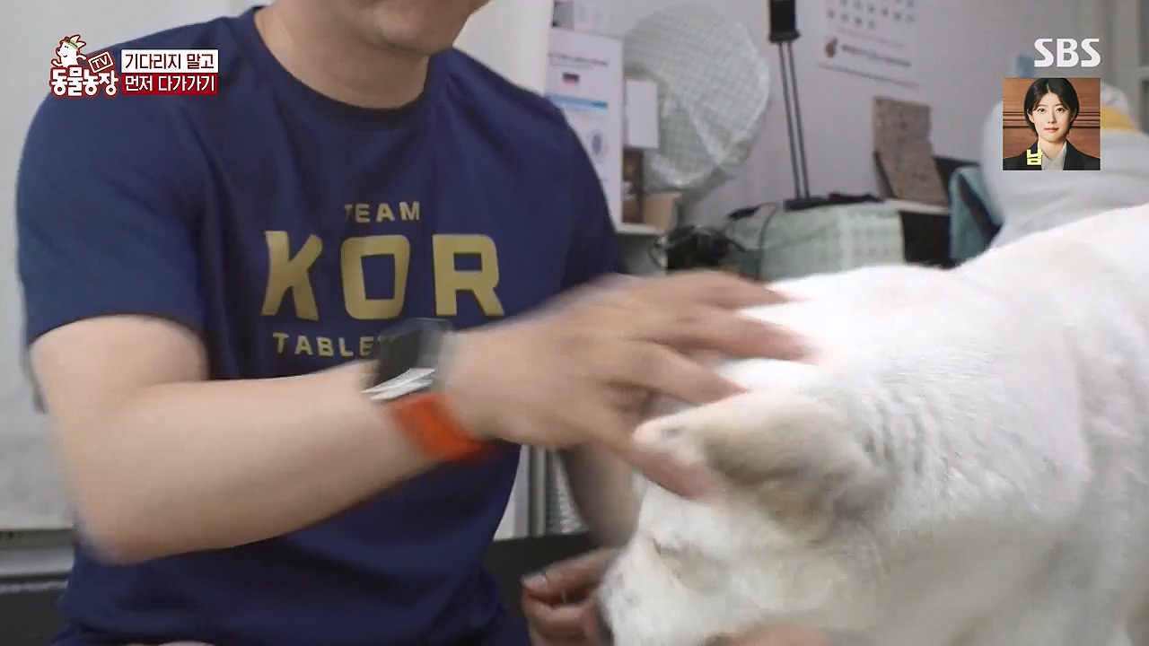 TV 동물농장.E1179.240708p-NEXT.mp4_20240707_160435.930.jpg