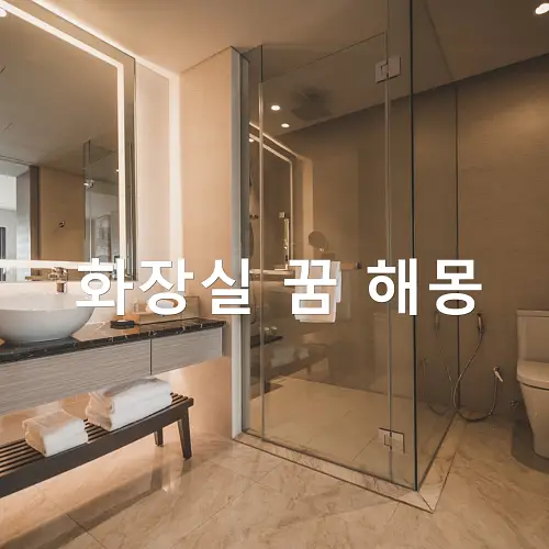 화장실 꿈 해몽, 깨끗한, 재래식, 공중, 푸세식, 더러운 화장실 꿈 까지 다양한 해석