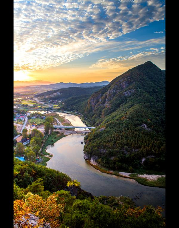 금산 세계 인삼 축제