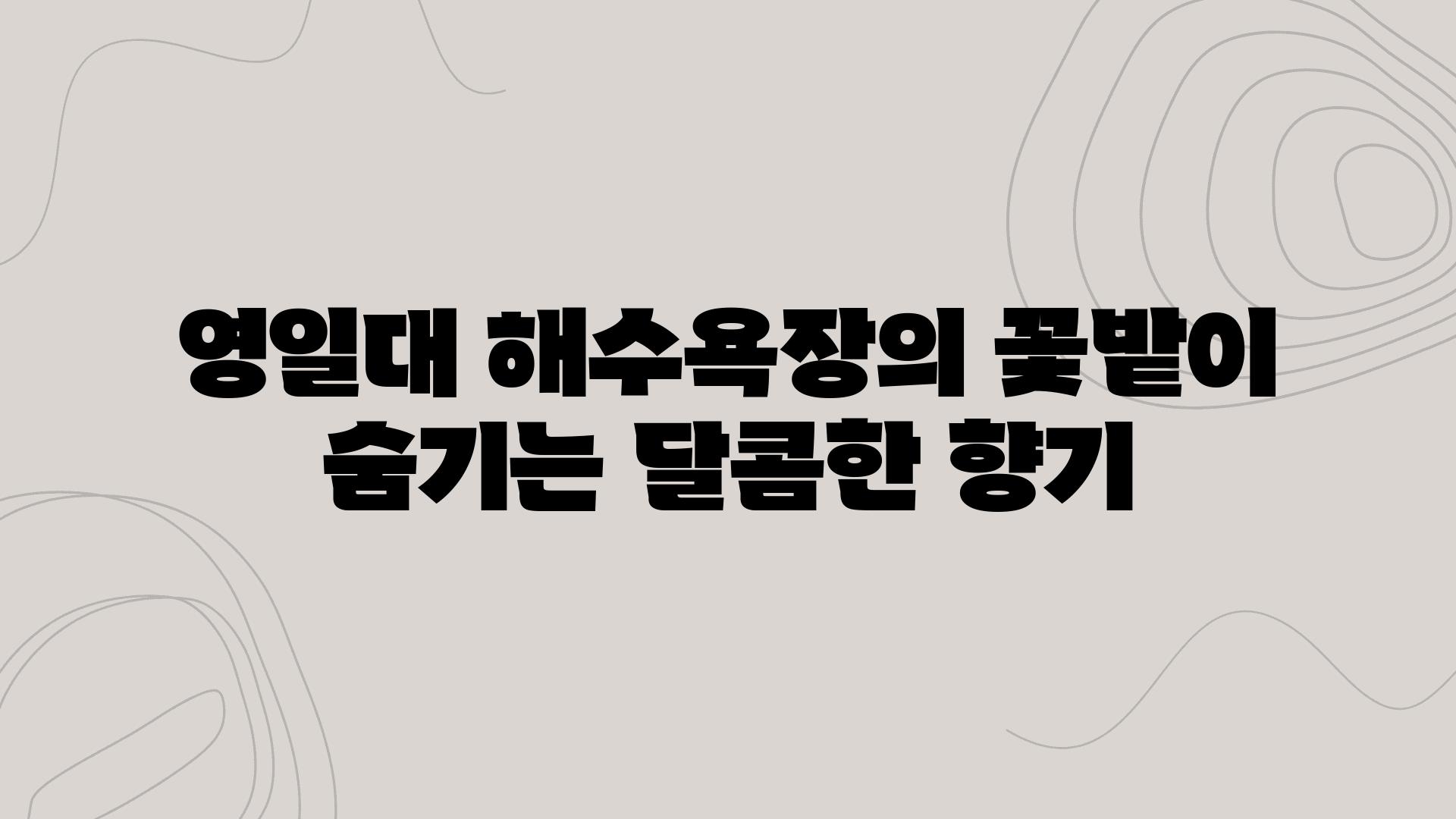 영일대 해수욕장의 꽃밭이 숨기는 달콤한 향기