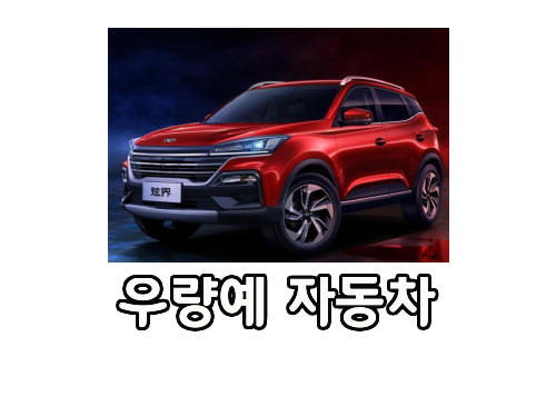  中 우량예 자동차 출시... 누리꾼 "디자이너가 술 드셨네"