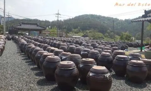 강진전통된장마을