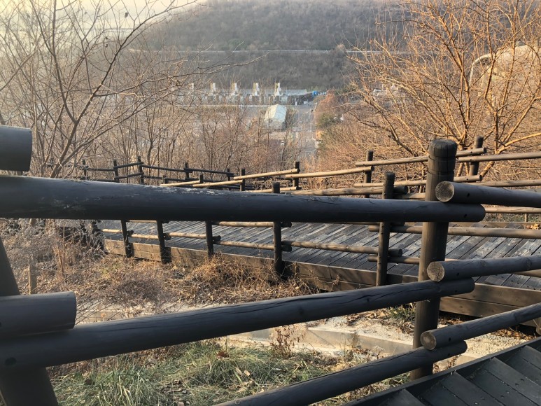 하늘공원 폐쇄 주말 하늘공원 나들이 8