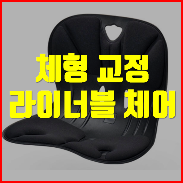  라이너블 체어  가격 후기