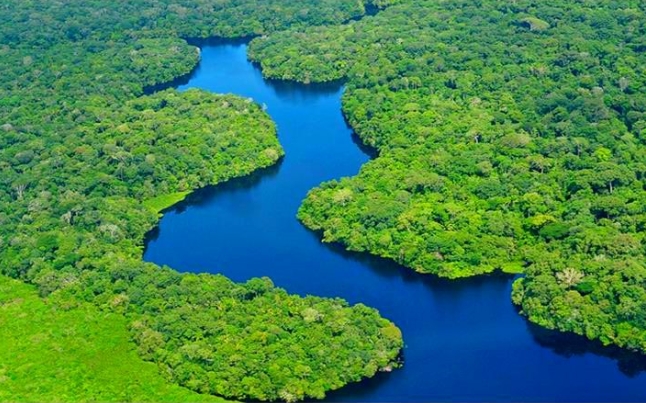 아마존-강