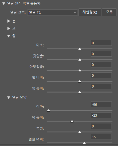 얼굴 인식 옵션 리스트