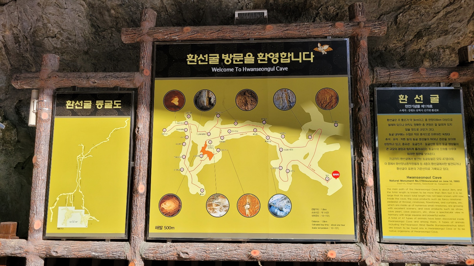 삼척 가볼만한곳 환선굴