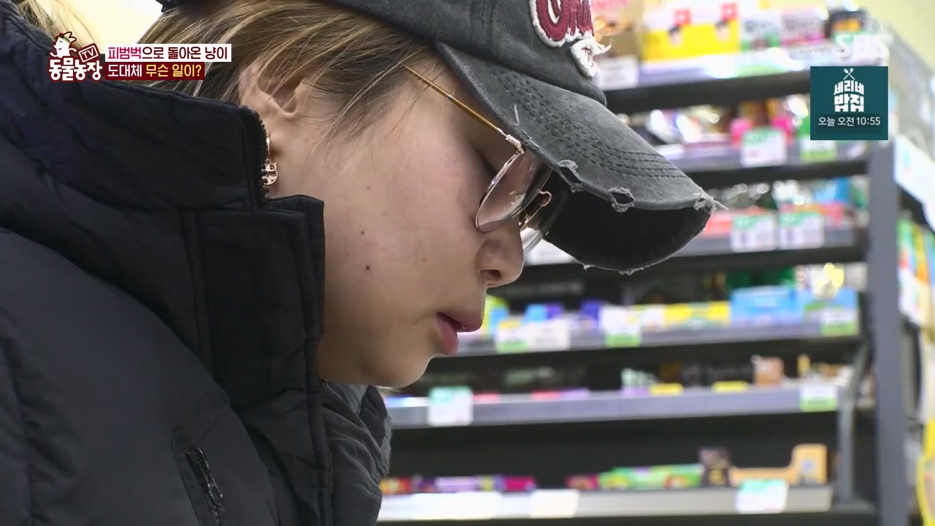 TV 동물농장.E1170.240505p.H264-F1RST.mp4_20240505_153812.413.jpg