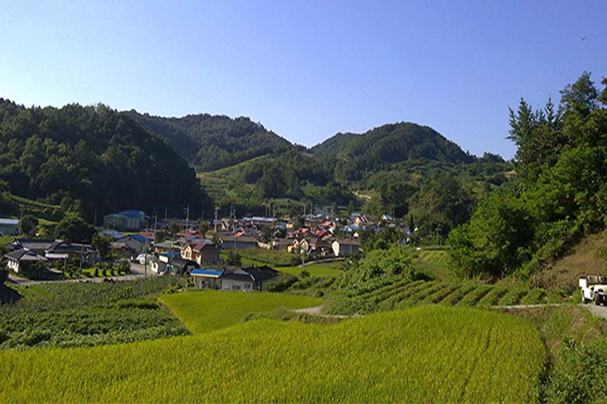  에너지 농촌봉사 활동기  :  굿모닝~ 바리실!