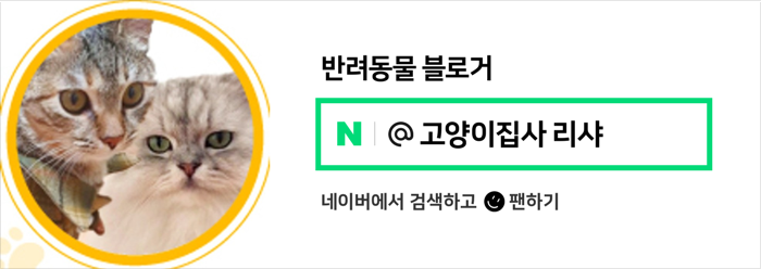 성격 나쁜 초대형견 코카, 시안 오브 차카, 겁쟁이 7