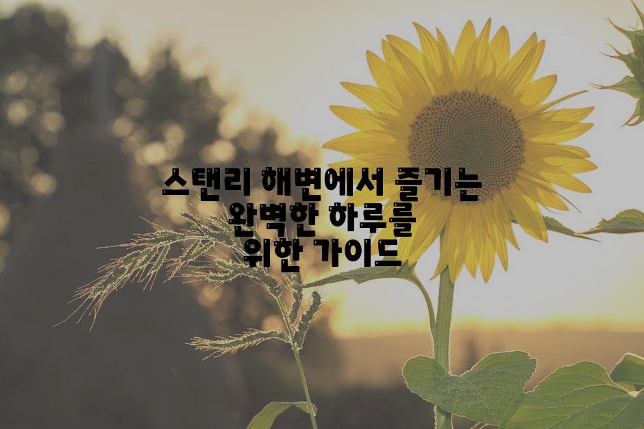 스탠리 해변에서 즐기는 완벽한 하루를 위한 가이드