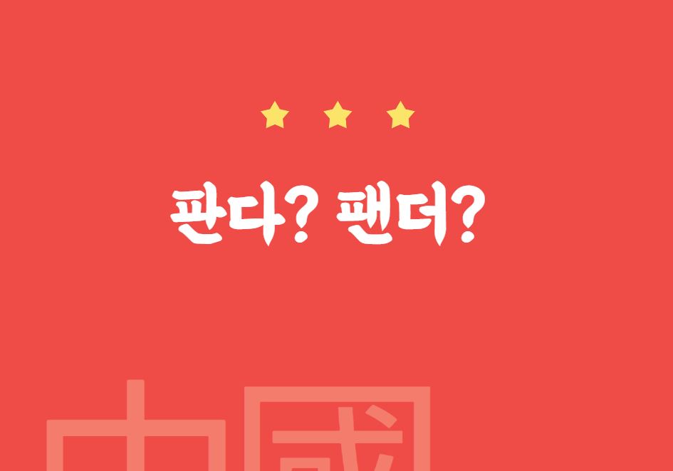 [맞춤법 바로알기] 귀여운 판다? 팬더? 뭐가 맞을까