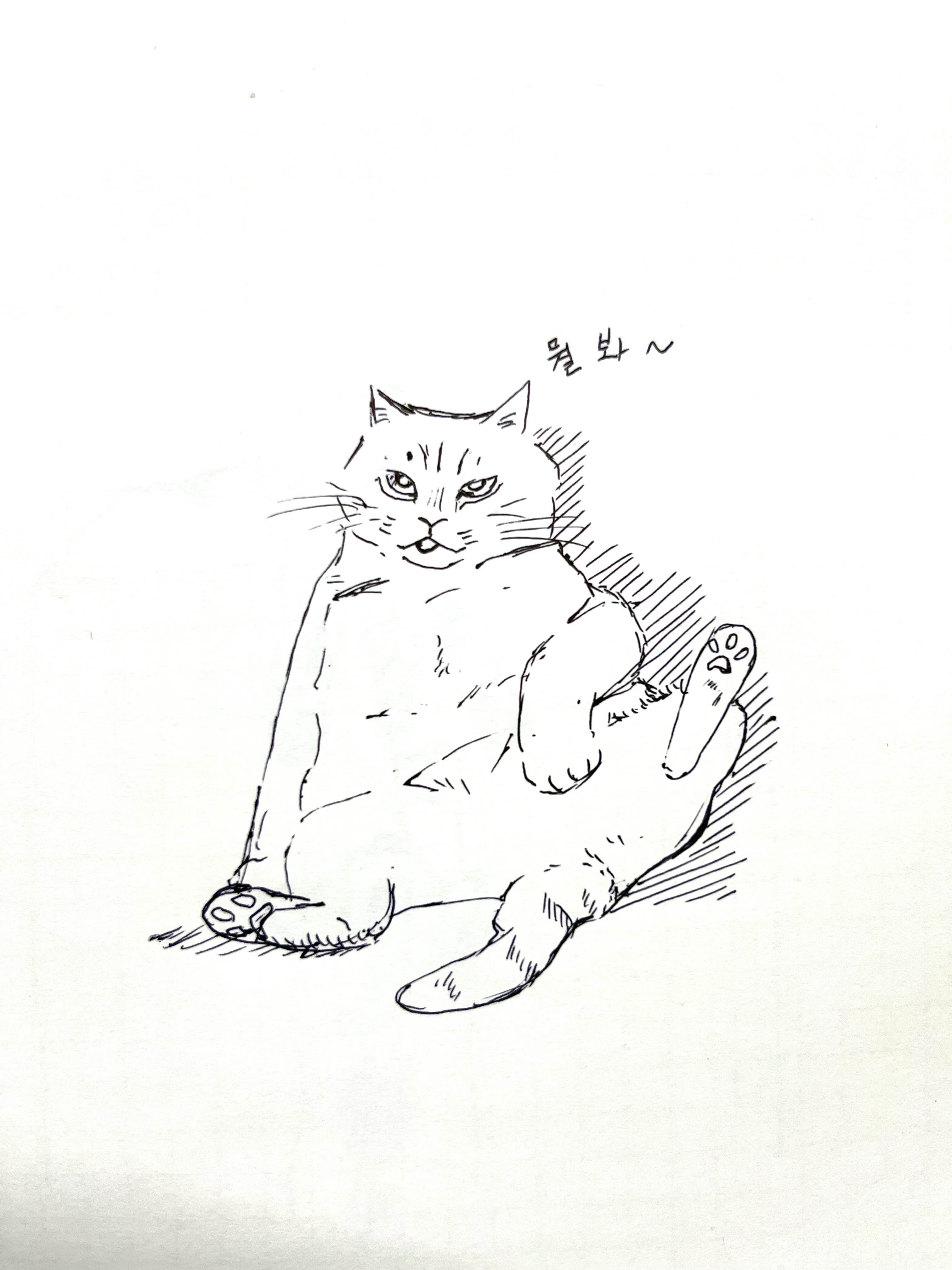  [취미생활 : 그림] 뭘봐~ (고양이 그림 : 펜그림)