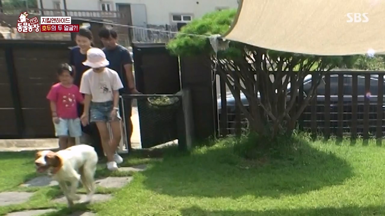TV 동물농장.E1133.230814p-NEXT.mp4_20230813_171328.841.jpg