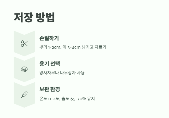 마늘 수확시기 꿀팁 14