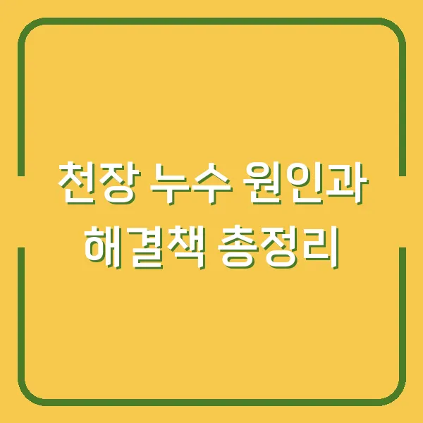 천장 누수 원인과 해결책 총정리