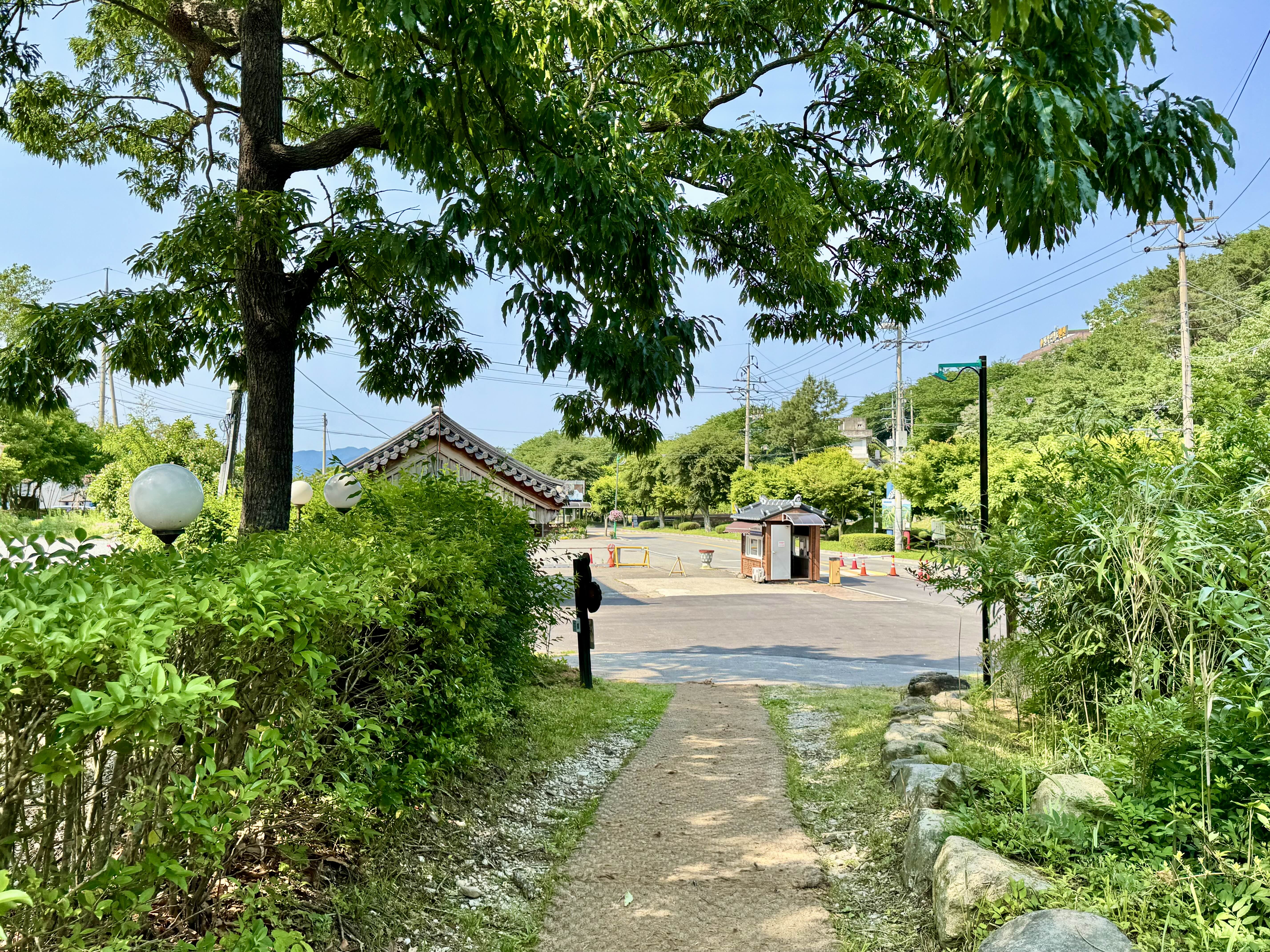 숲길 이미지