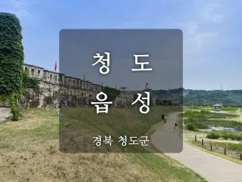 청도 여행 가볼만한곳 소싸움 경기장 입장료_7