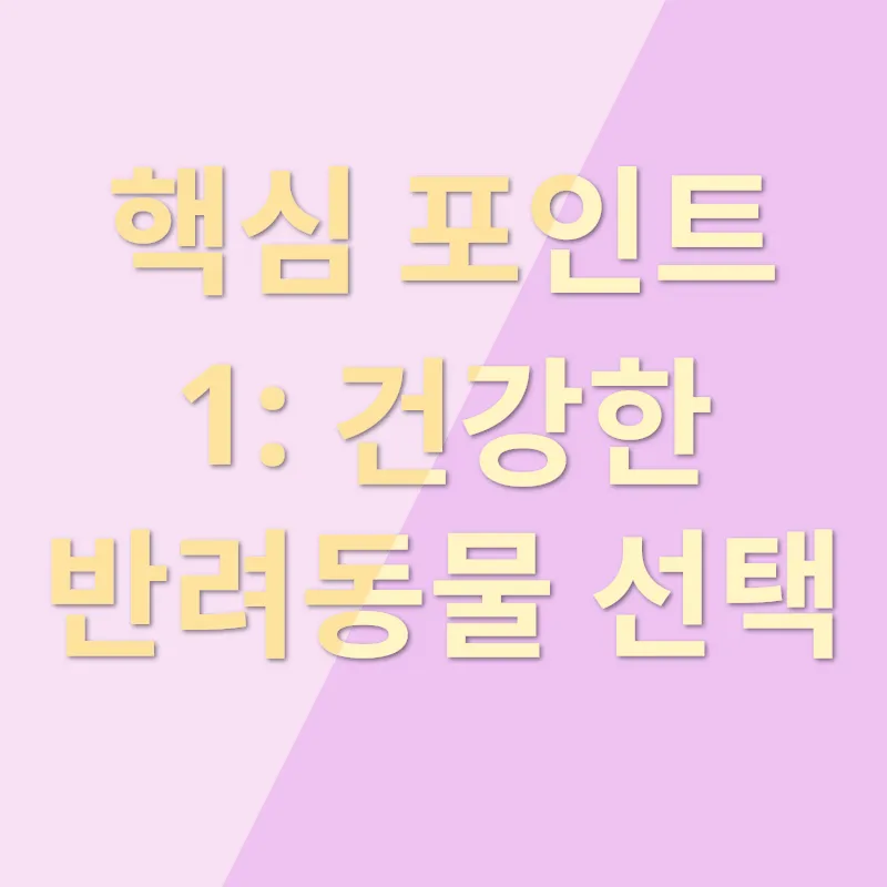 동물 분양_1