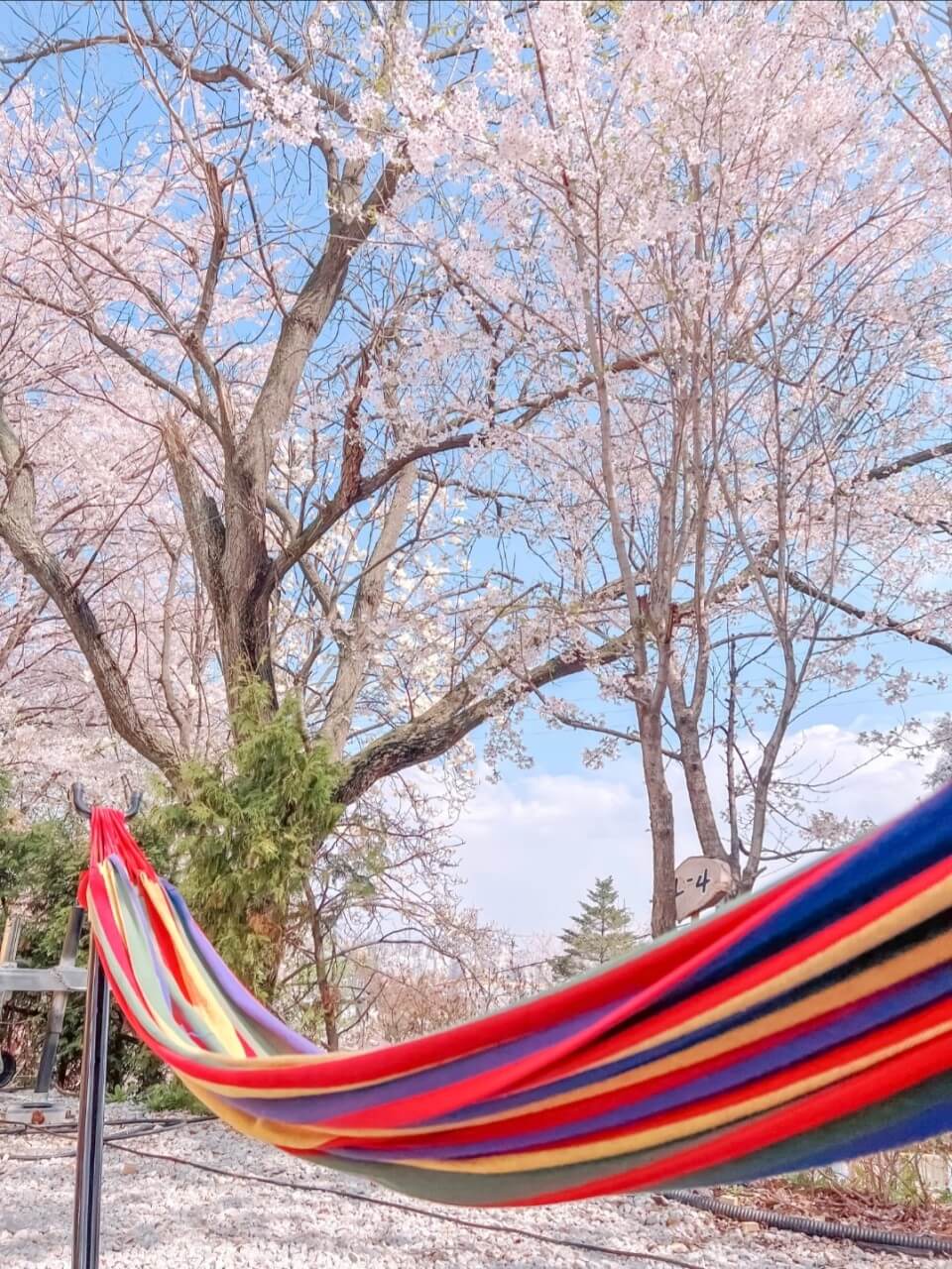 캠핑장전경