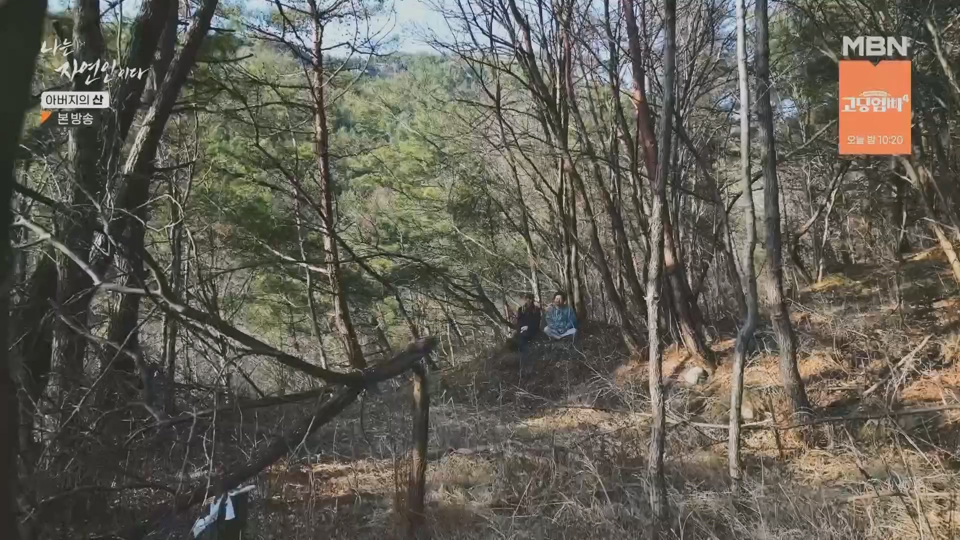 나는 자연인이다.E595.240228p.H264-F1RST.mp4_20240229_200121.040.jpg