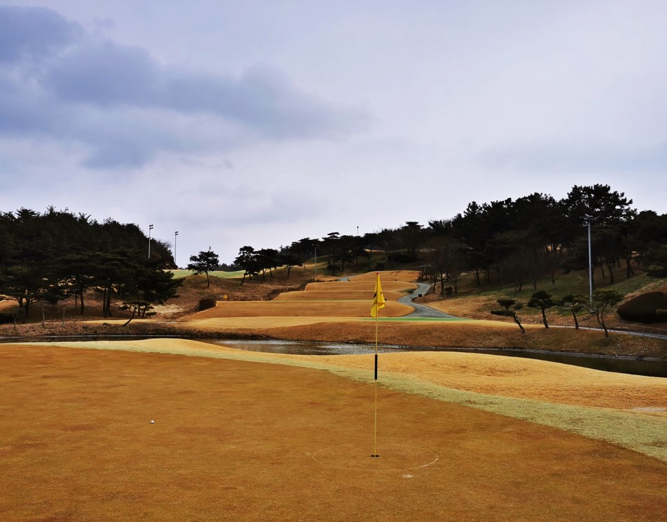 마제스티 1박2일 함평 엘리체CC 15