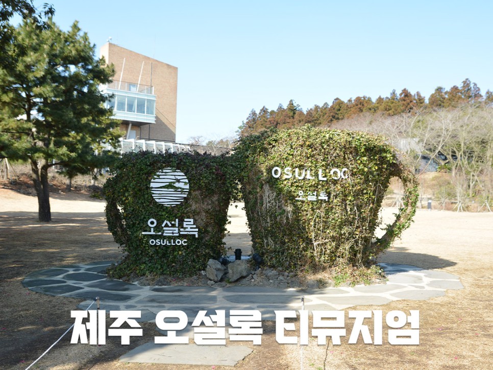 녹차의모든 것! 27