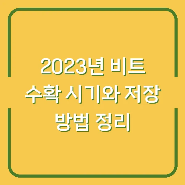 2023년 비트 수확 시기와 저장 방법 정리