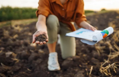 토양검정이란? 토양검정 분석항목 신청방법 (비료사용처방서 미리보기)