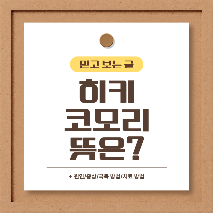  히키코모리 뜻은?