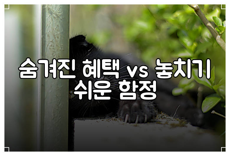 숨겨진 혜택 vs 놓치기 쉬운 함정