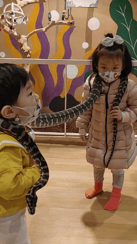  [아이와 가볼만한곳] 실내동물원 쥬라리움(ZOORARIUM) 금천점 방문