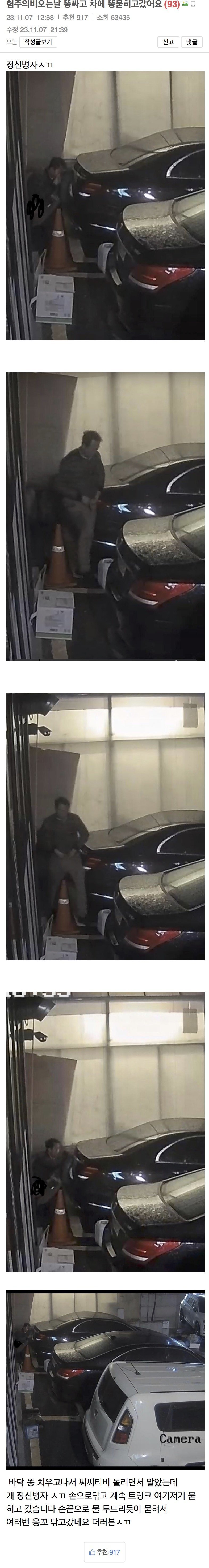 어제자 보배에서 난리난 차에 똥싸고 튄 남자.jpg