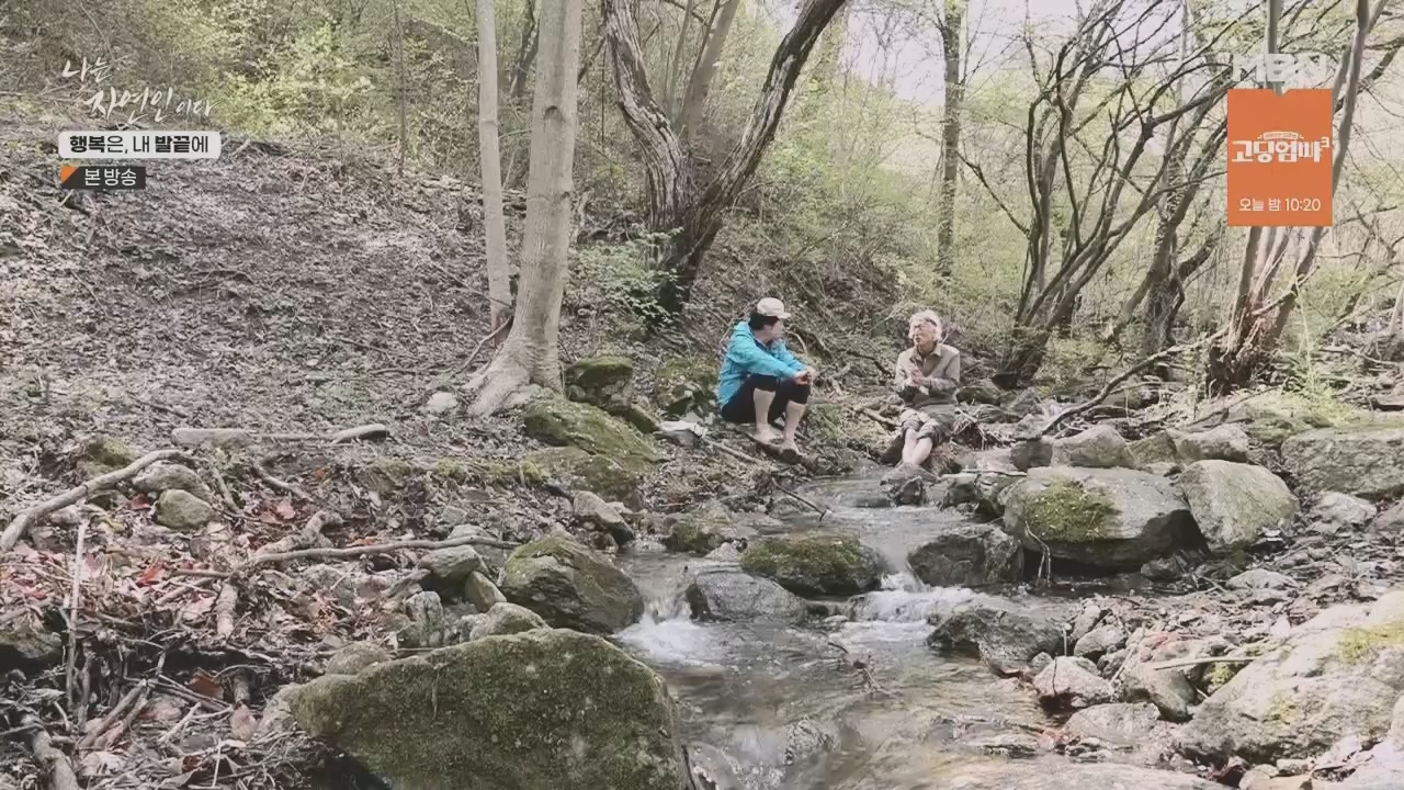 나는 자연인이다.E551.230427p.H264-F1RST.mp4_20230427_200330.814.jpg