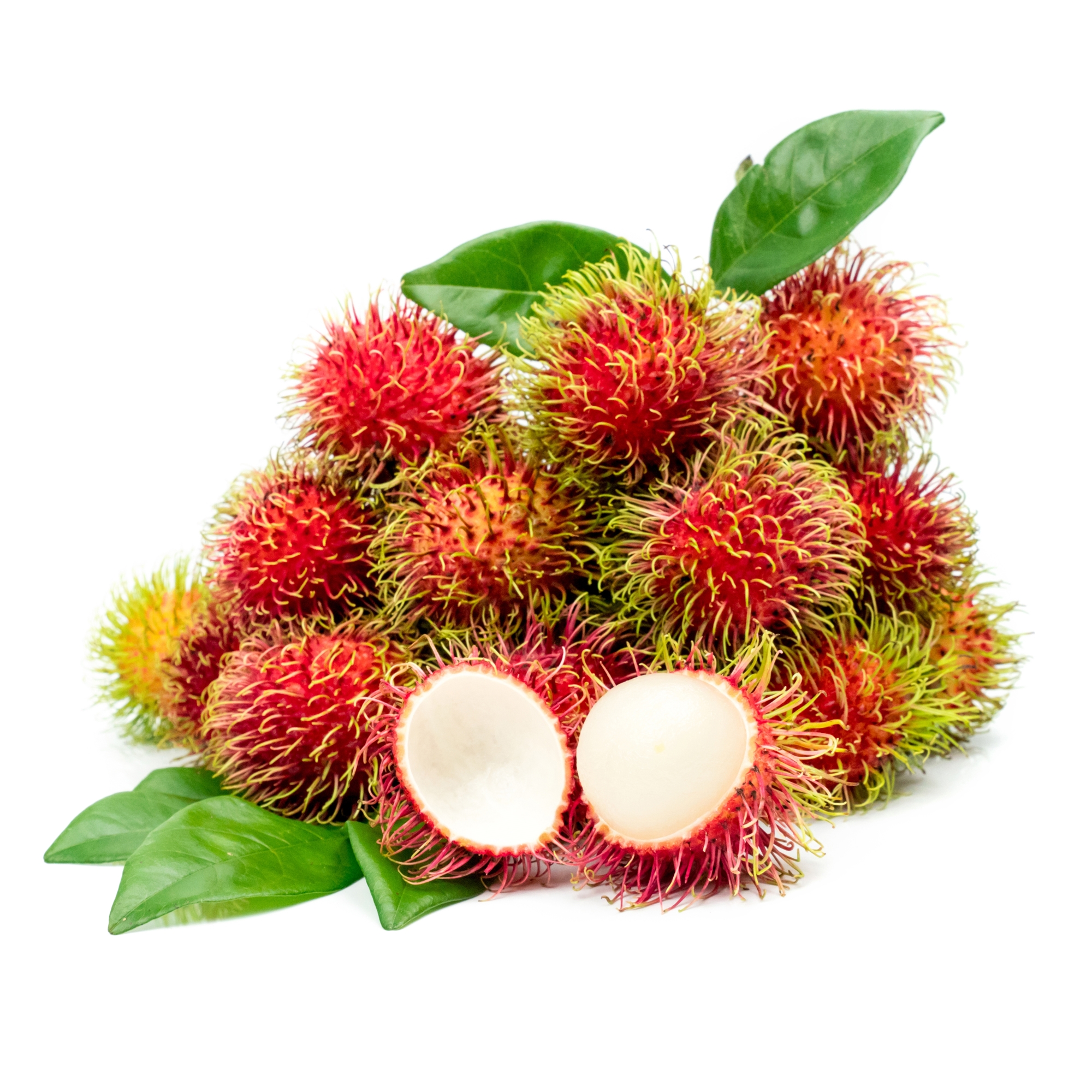  람부탄 Rambutan 에 대해서 알아볼게요.